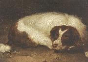 Johann Christoph Rincklake A sporting dog lying down oil painting on canvas